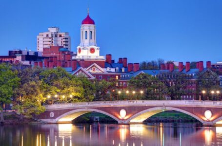 Бръшляновата лига залага на Биткойн!